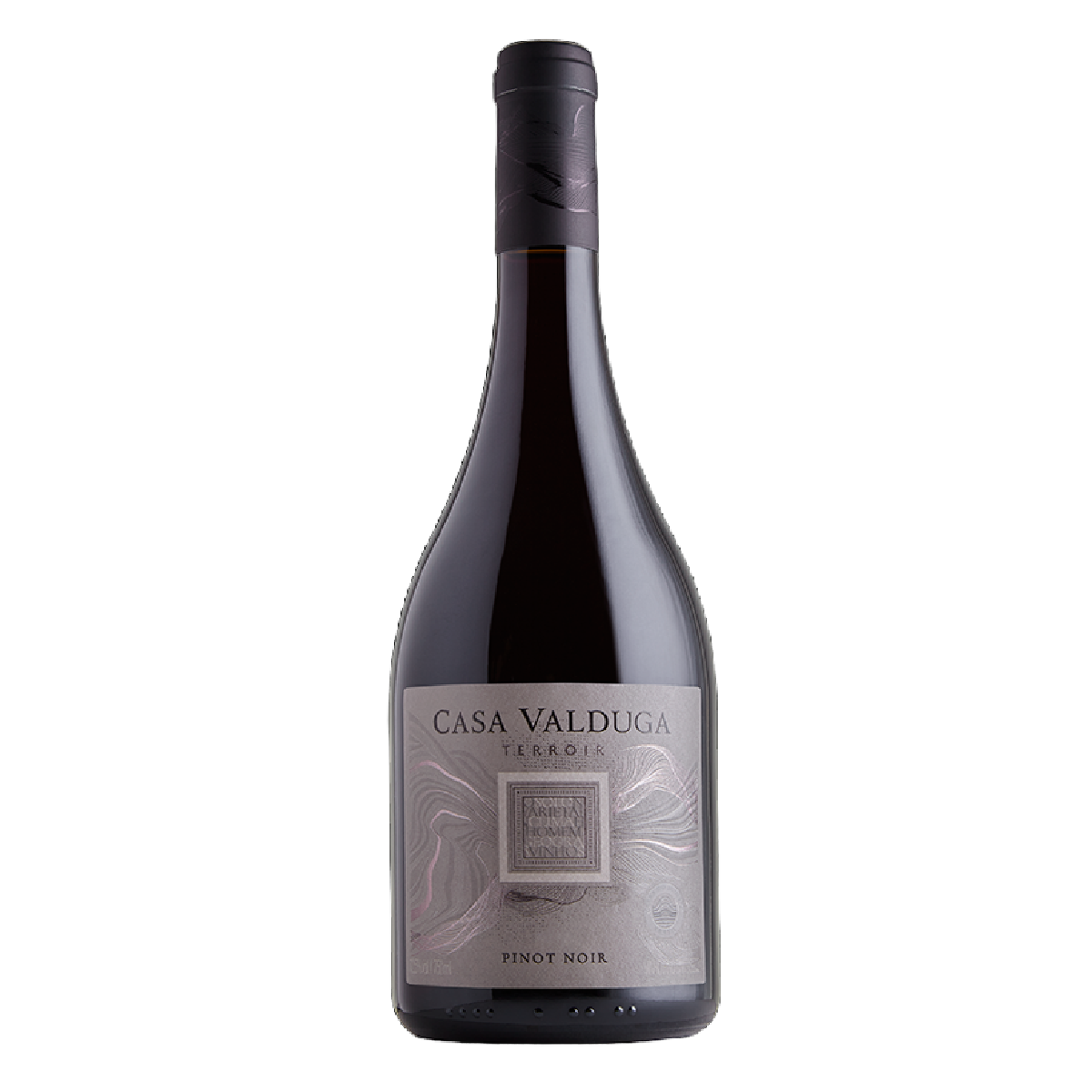 Vinho Brasileiro Casa Valduga Tinto Seco Terroir Pinot Noir  750ml