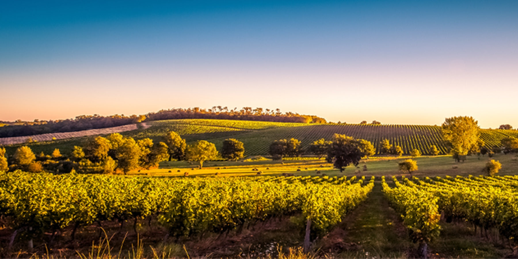 Vinho Tinto Francês Cru Classé Château La Tour Carnet 2008 750ml