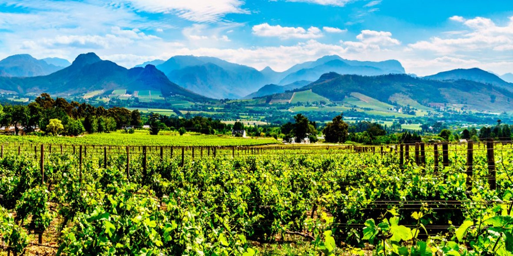 Vinho Sul-Africano Branco Pearlstone Pearlstone Chenin Blanc 2022 750ml