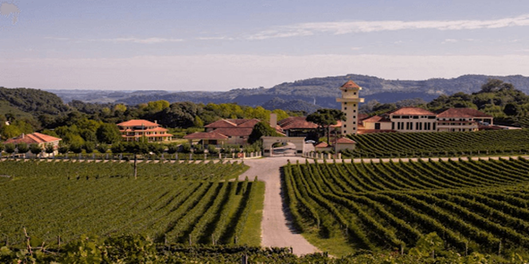 Vinho Brasileiro Branco Casa Valduga Arte Chardonnay e Moscato 750ml