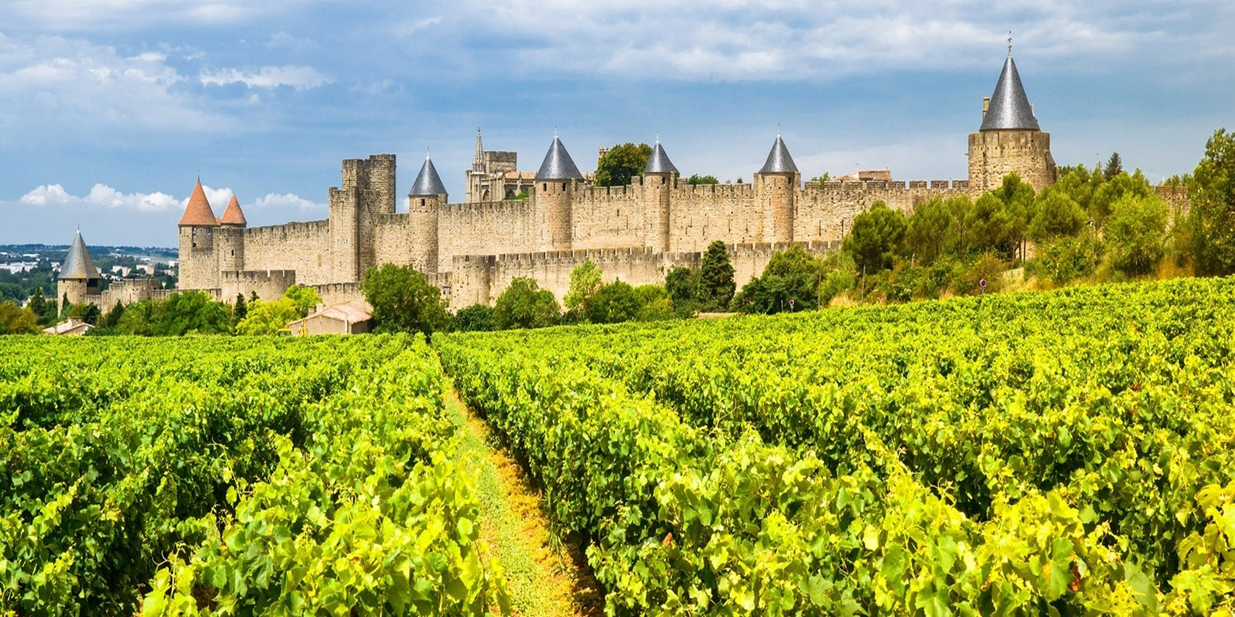 Vinho Francês Branco JP Chenet Blanc Delicious 750ml