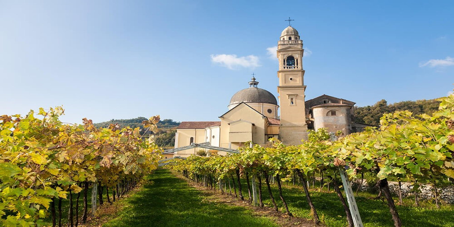 Vinho Tinto Italiano Amarone Della Valpoliccella Classico DOCG