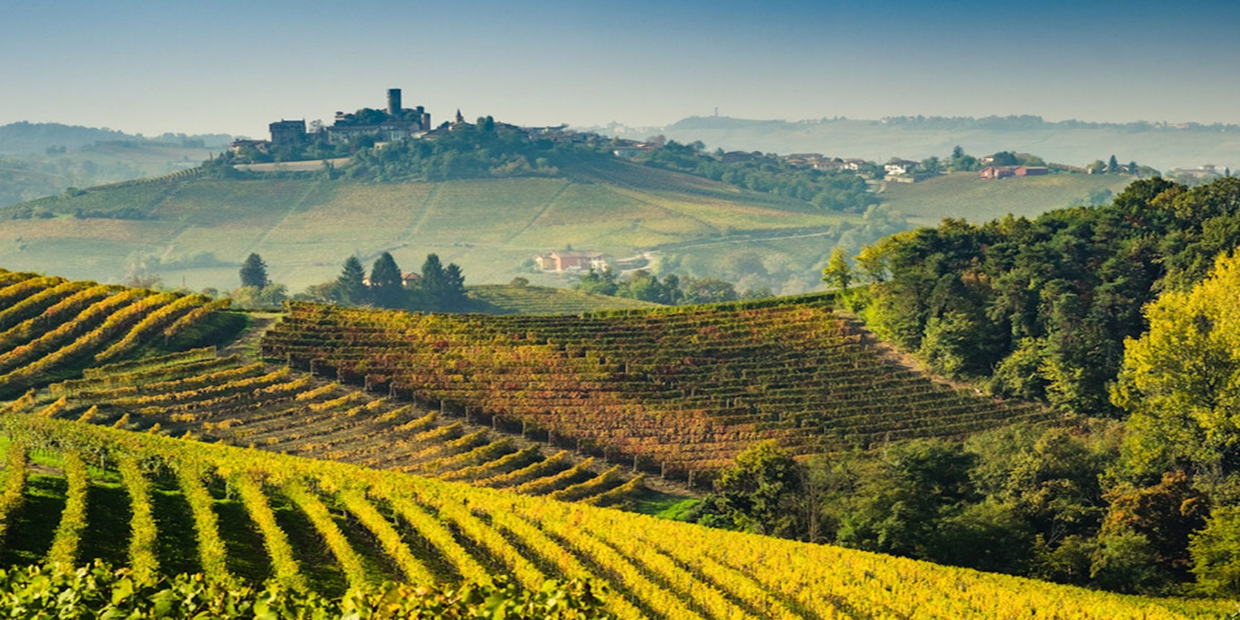 Vinho Tinto Barolo Gaja Dagromis DOP 750ml