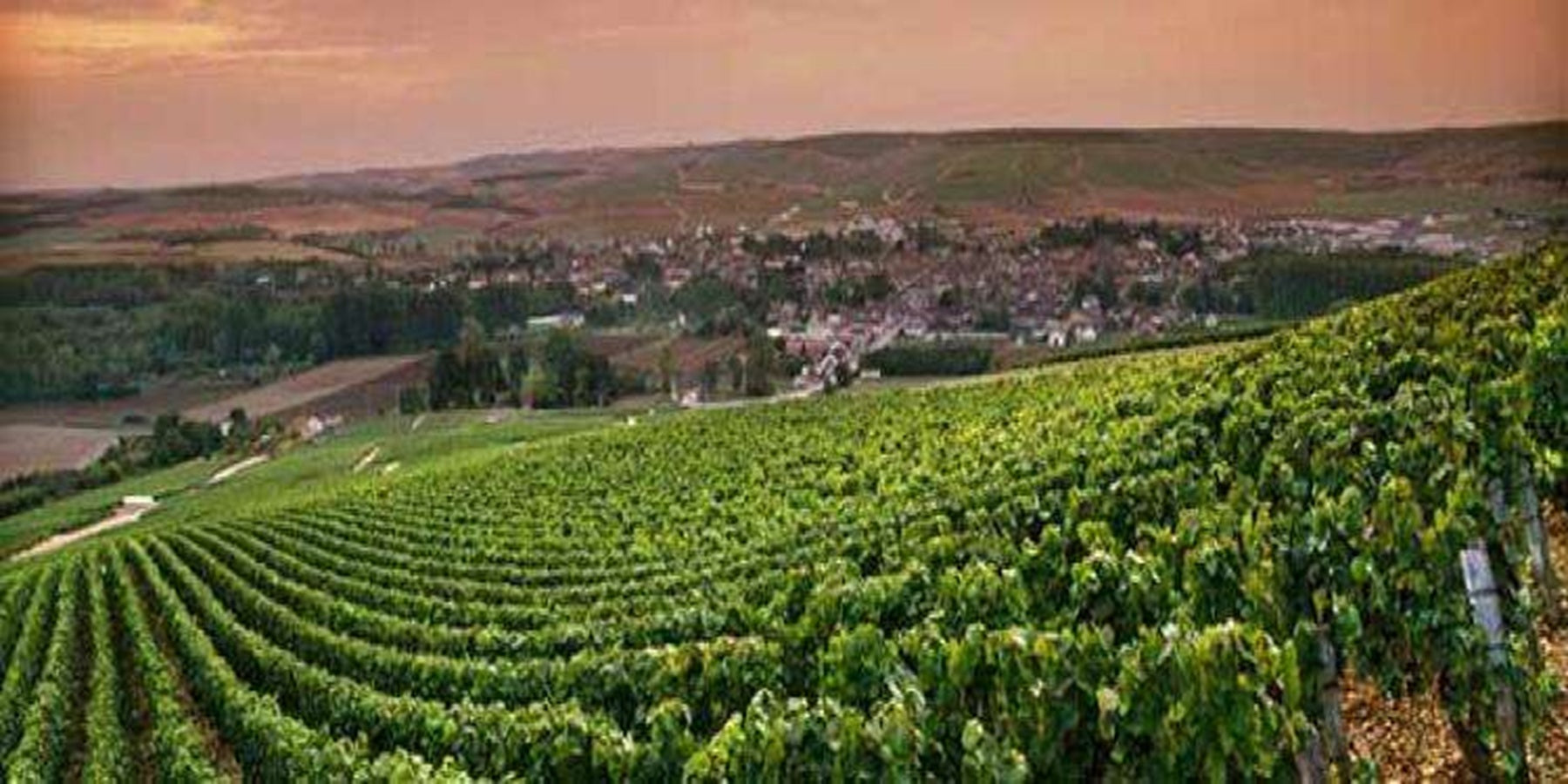 Vinho Francês Latour Chablis Branco 750ml