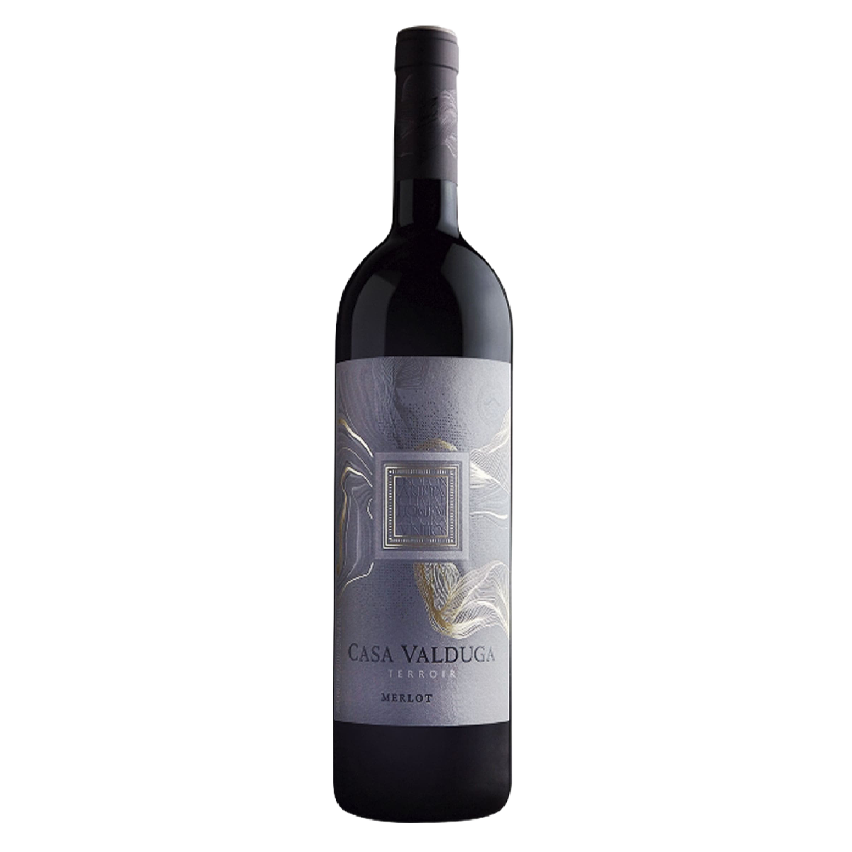 Vinho Tinto Brasileiro Terroir Merlot Casa Valduga Seco 750ML