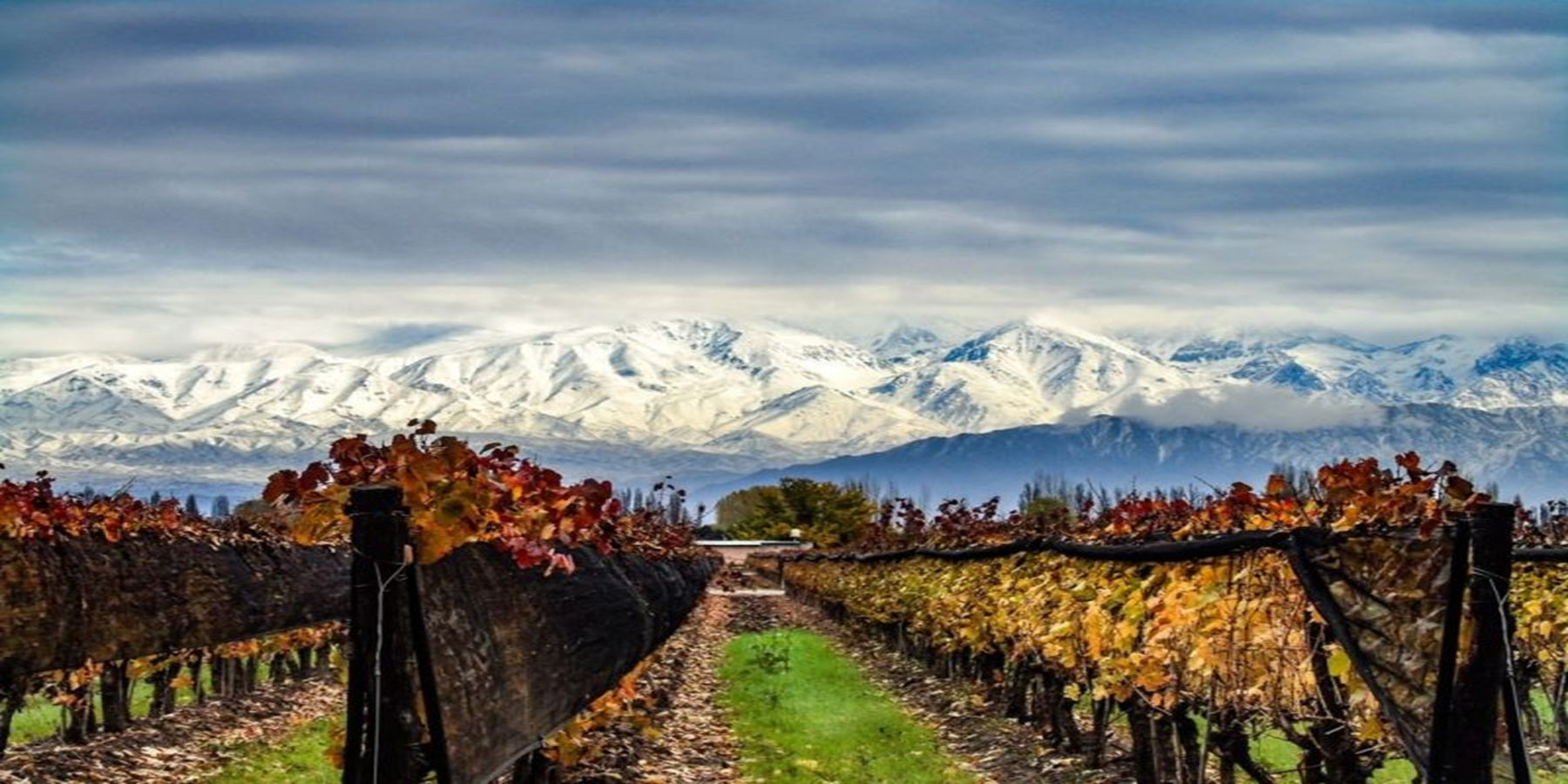 VinhoTinto Argentino Bodegas Caro 2019 750ml