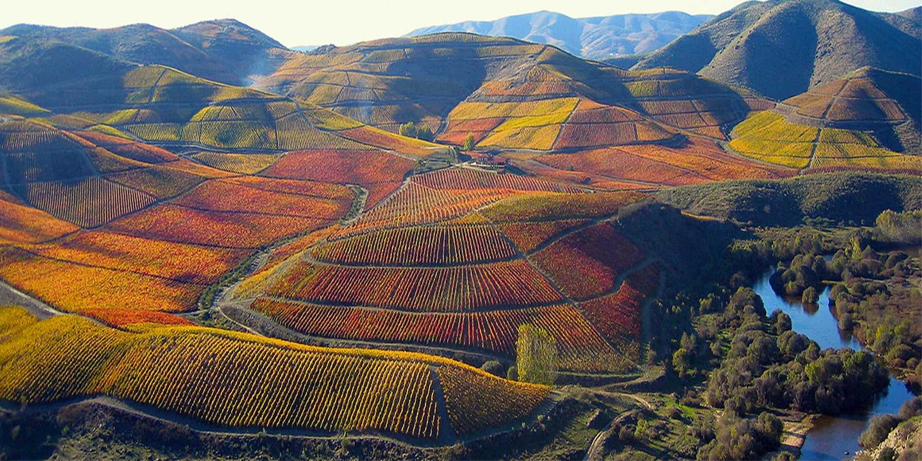 Vinho Português do Porto Taylor's Tawny 750 mL