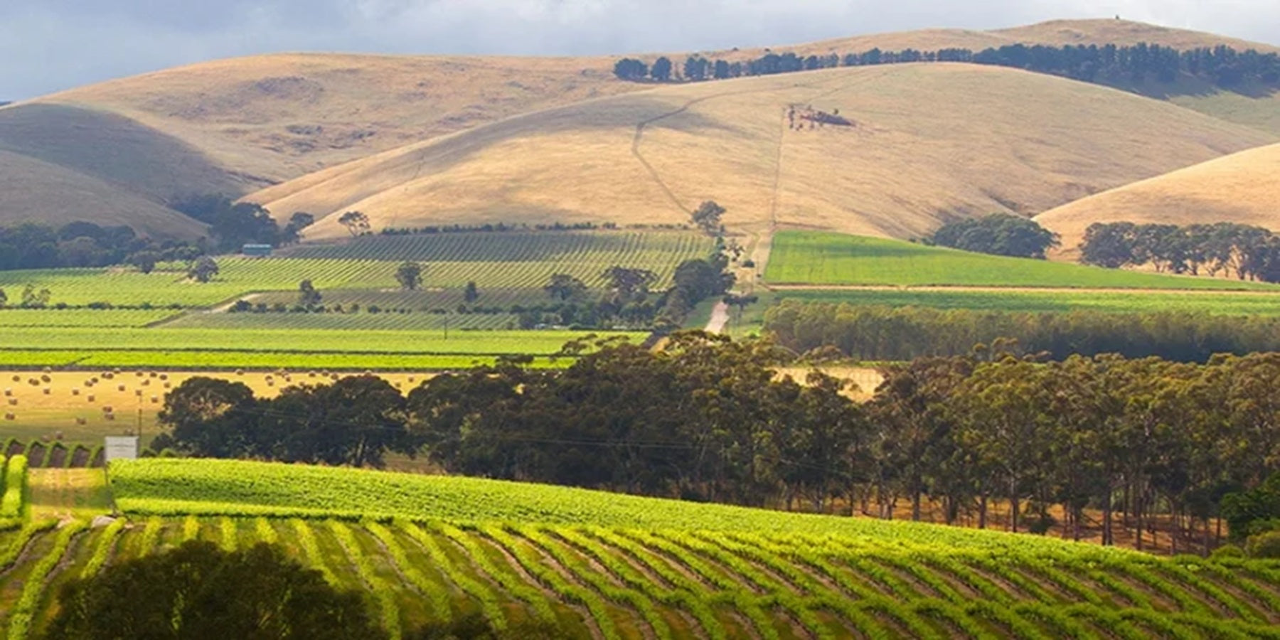 Vinho Tinto  Australiano Hardys Stamp Cabernet Merlot 750ml