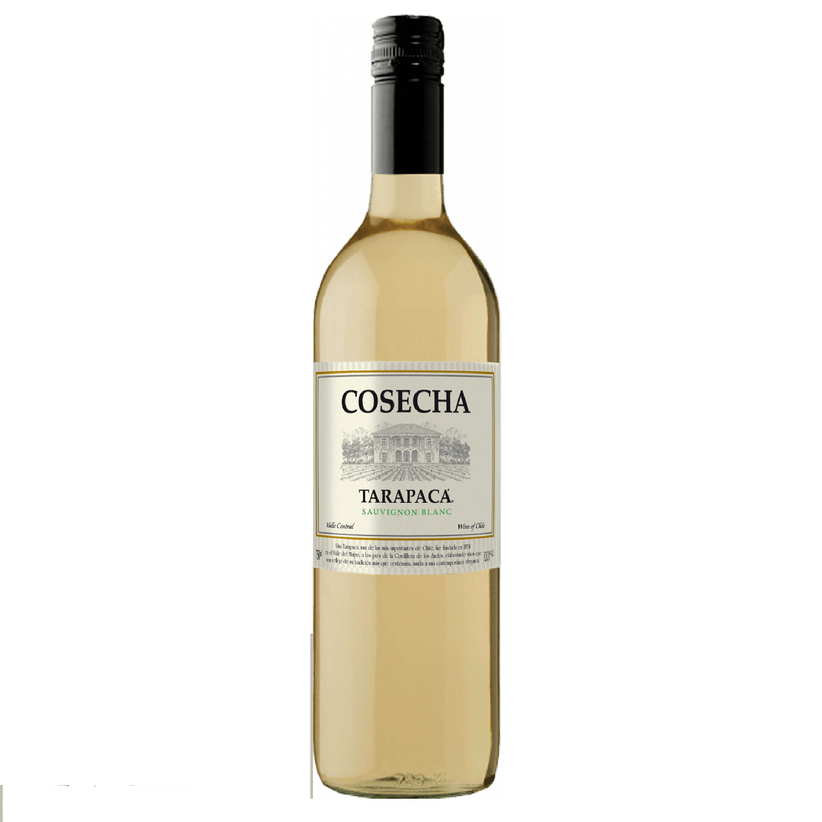 Vinho Chileno Cosecha Tarapacá Sauvignon Blanc 2023 750ML