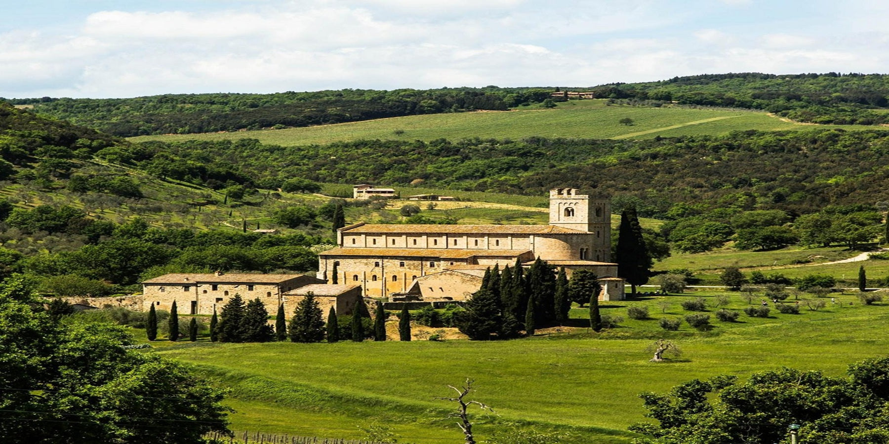 Vinho Italiano Barbi Rosso di Montalcino DOC 750ml