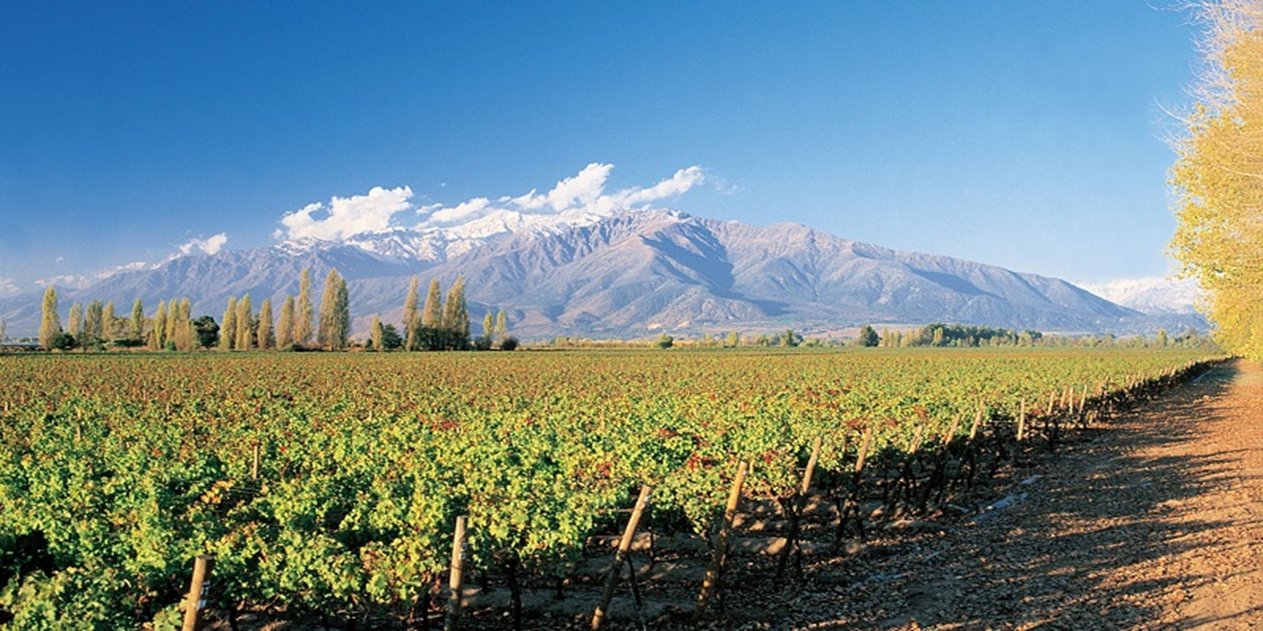 Vinho Chileno Gran Reserva Tarapacá Etiqueta Azul 2021 750ML