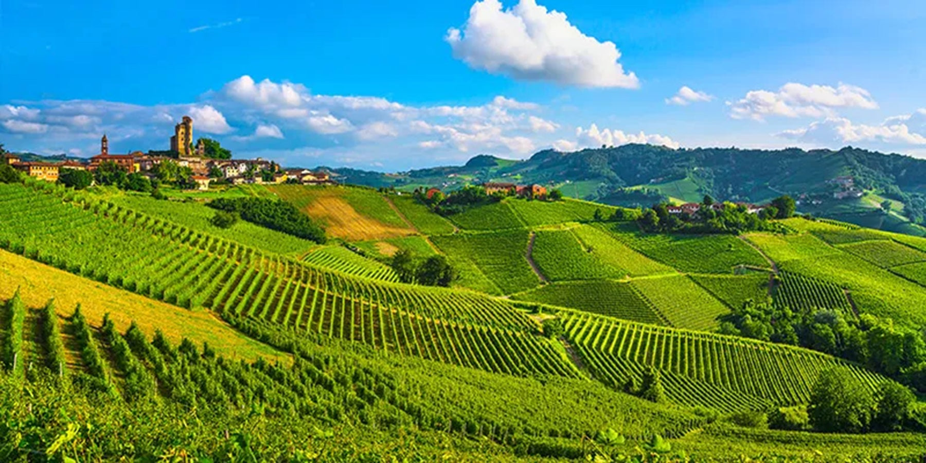 Espumante Italiano Prosecco Tosti Notte di Bollicine Gran Cuvée Brut