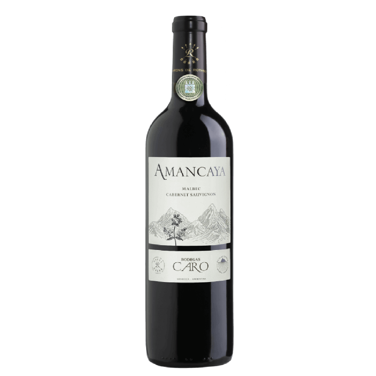 Vinho Tinto Argentino Bodegas Caro Amancaya 750ml