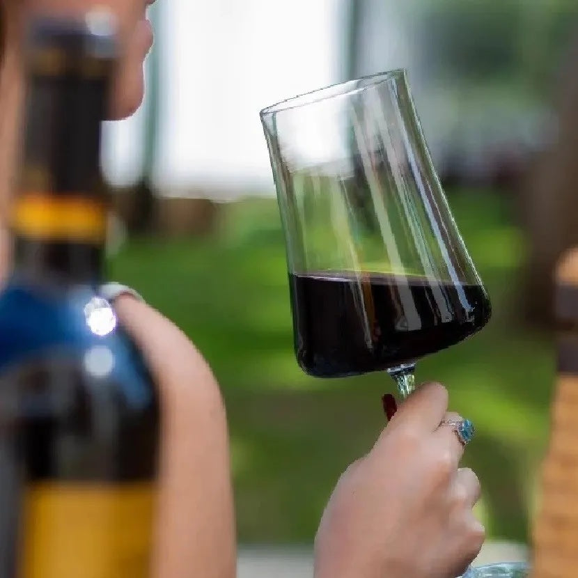 Taça Para Água e Vinho Cristal Haus Pleasure Brinox 460ml