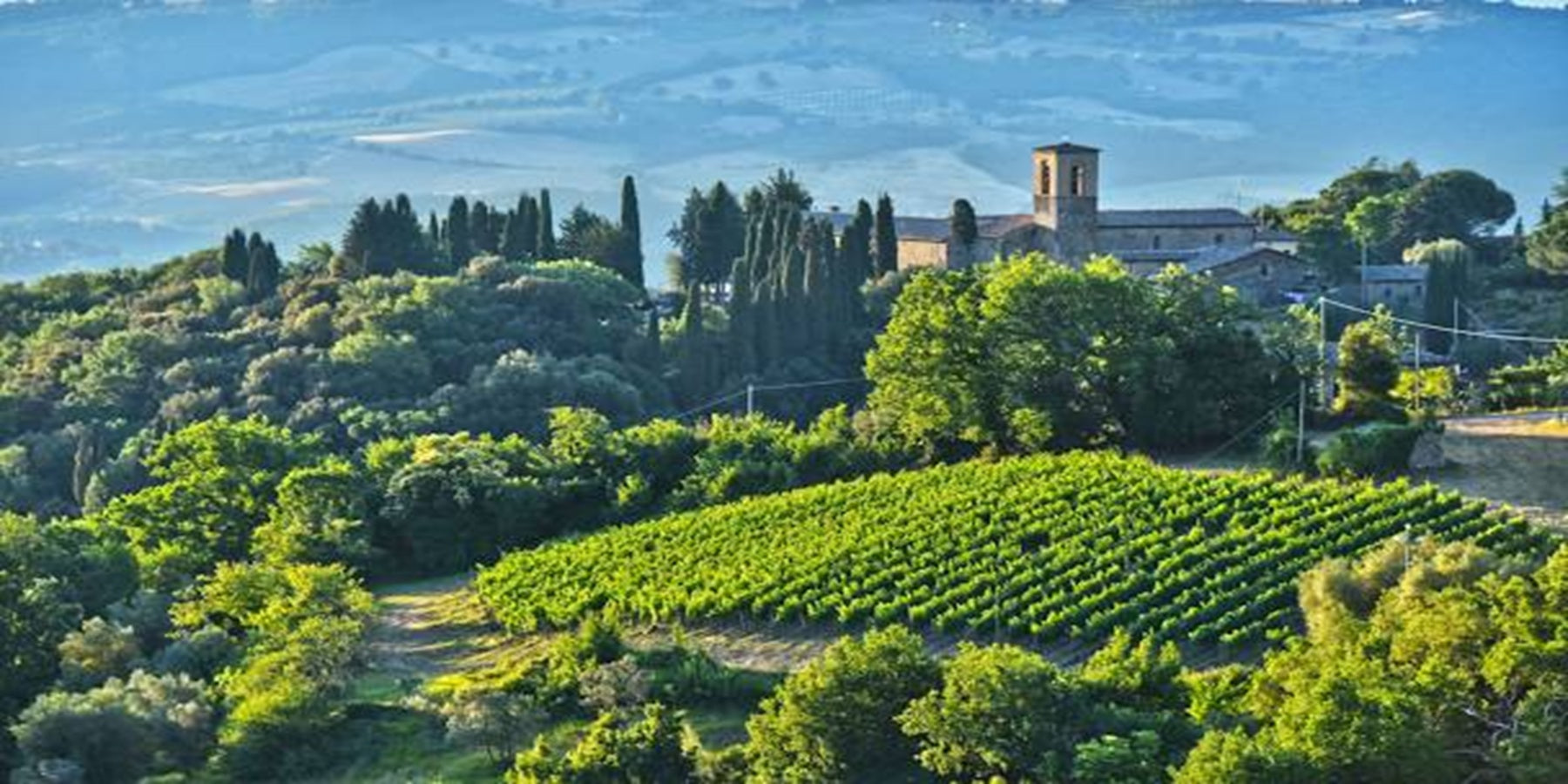 Vinho Tinto Italiano Gauggiole Brunello Di Montalcino 2017 750ml