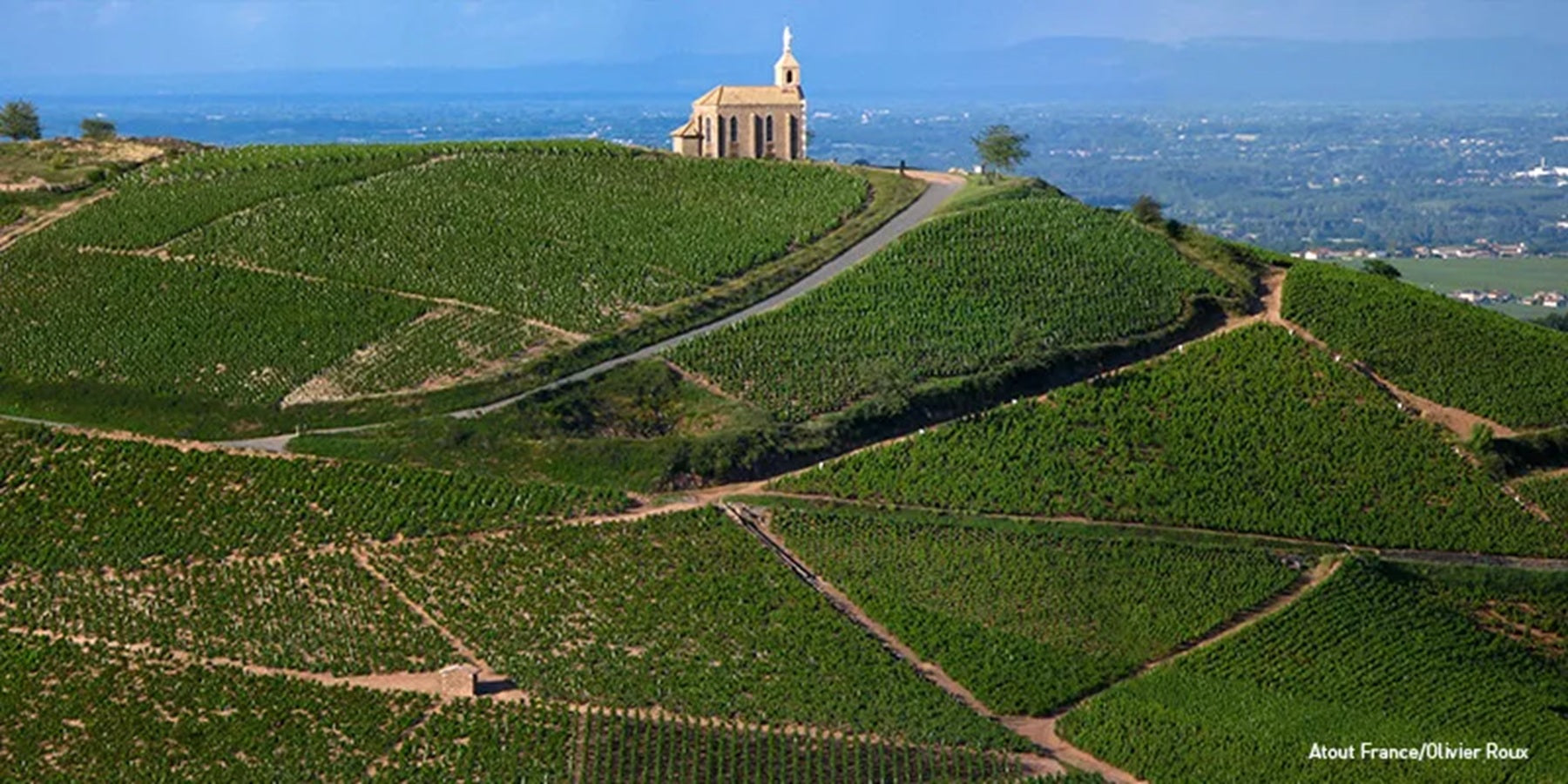 Vinho Francês Ted The Mule Rosé 750ml